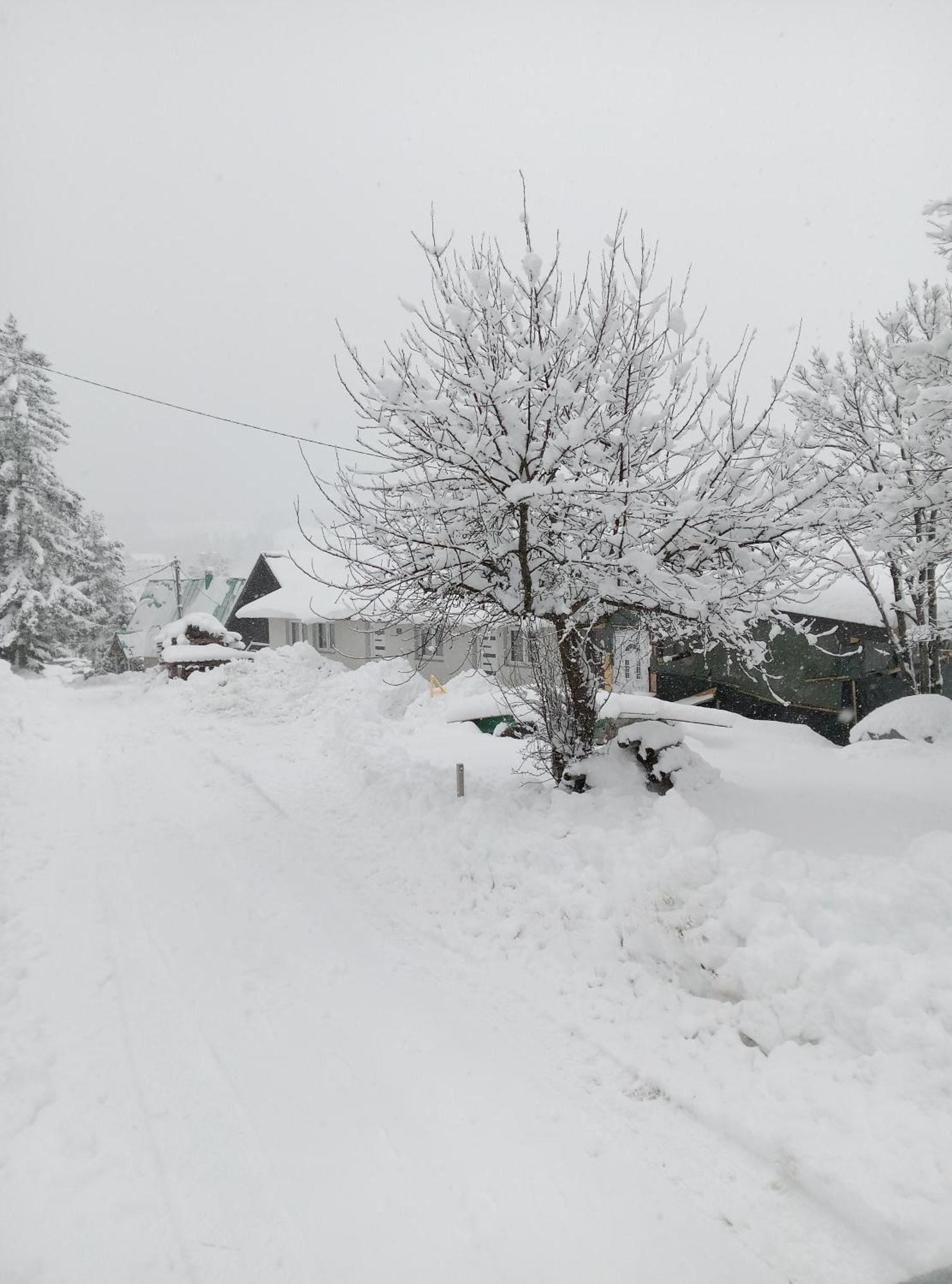 Apartamento Durmitor Žabljak Exterior foto