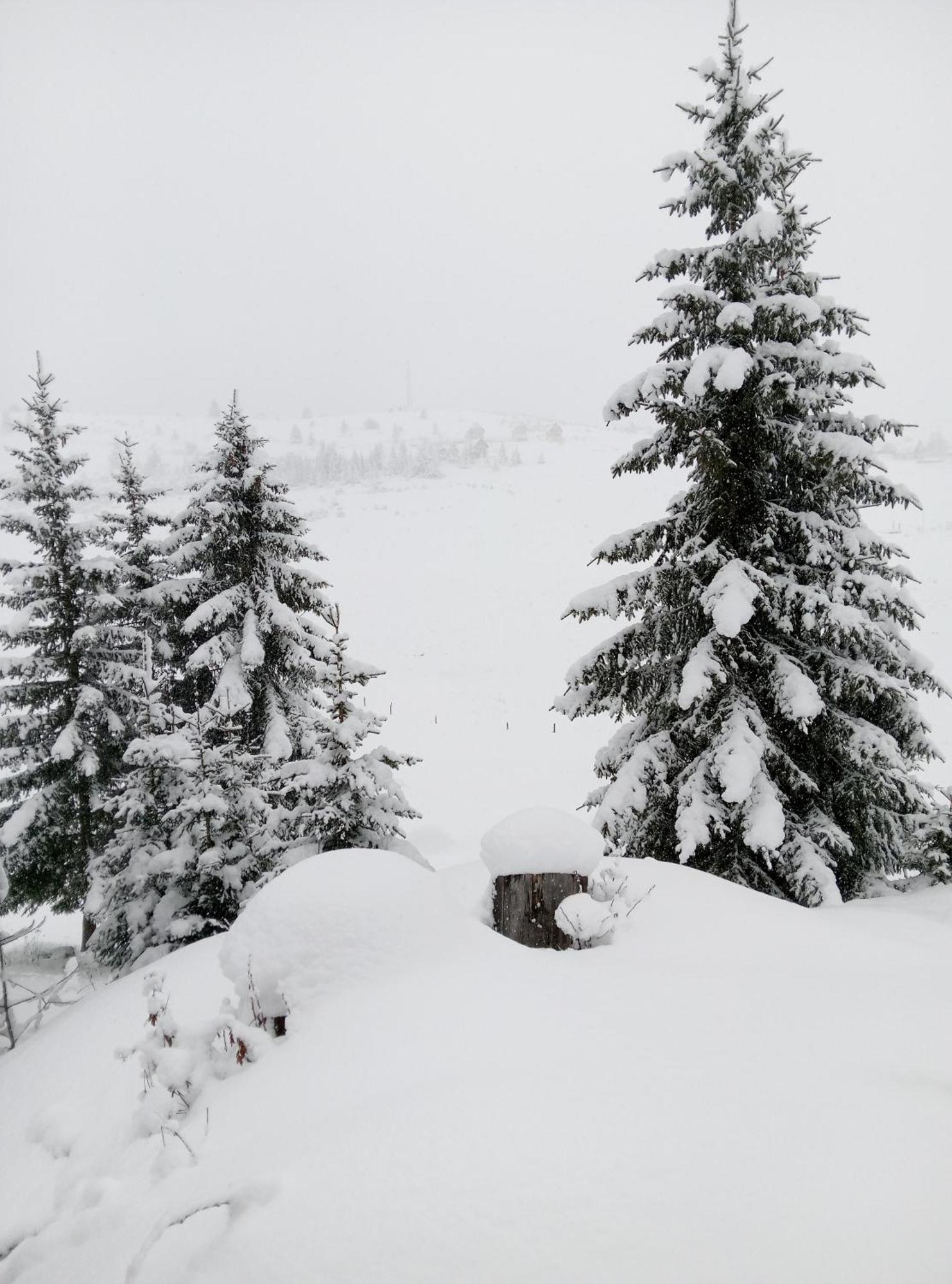 Apartamento Durmitor Žabljak Exterior foto