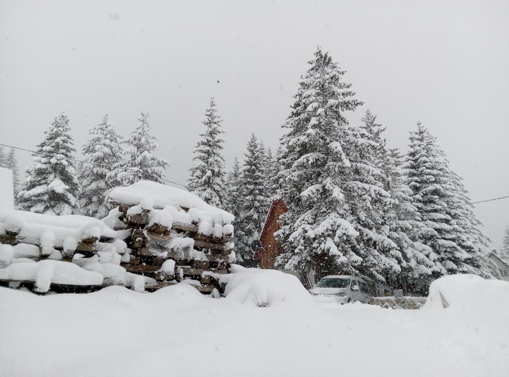 Apartamento Durmitor Žabljak Exterior foto
